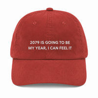 2079 Is Going To Be My Year 5