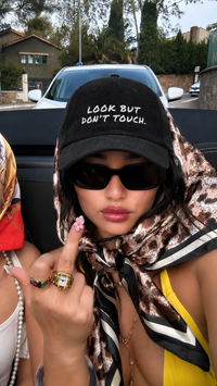 Look But Don't Touch 4