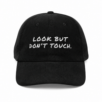 Look But Don't Touch 1